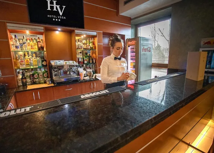 Hotel Business Vega 3*