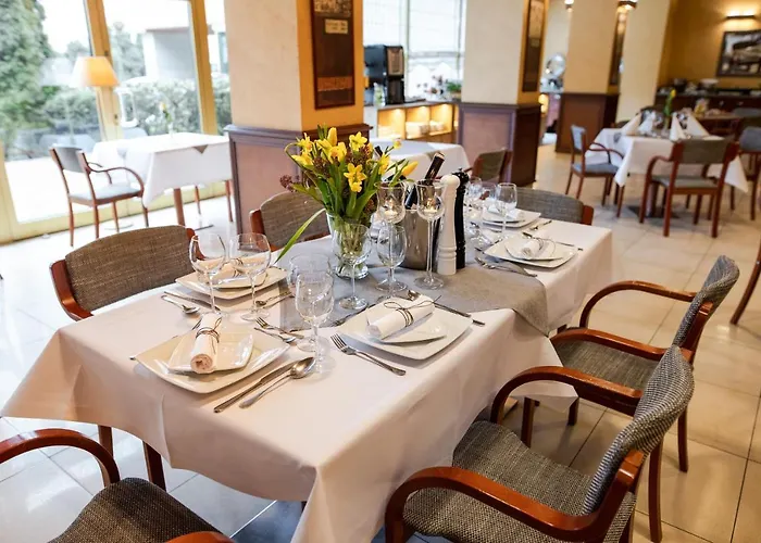 Otel Business Vega 3*