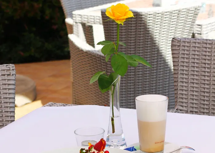 Hotel Business Vega Breslavia