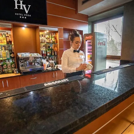 فندق Business Vega 3*