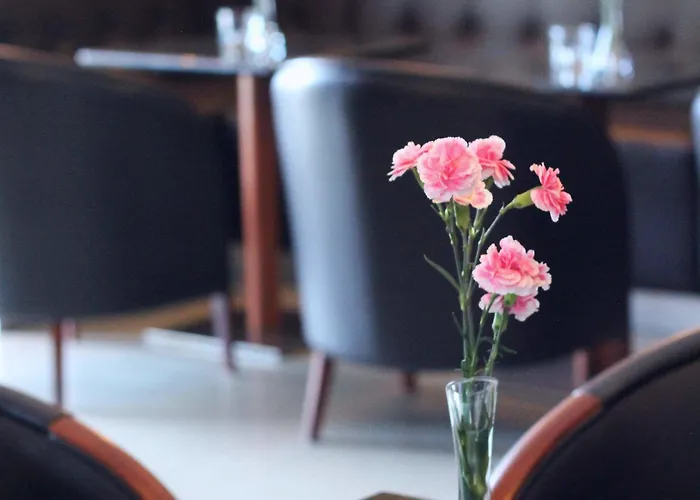 弗罗茨瓦夫维加商务酒店 弗罗茨瓦夫