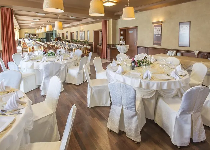 Business Vega Breslau